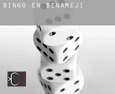 Bingo en Benamejí