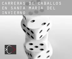 Carreras de caballos en  Santa María del Invierno