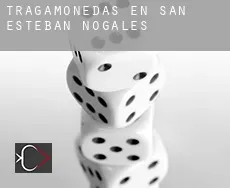 Tragamonedas en San Esteban de Nogales