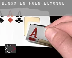 Bingo en  Fuentelmonge