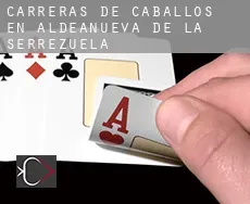 Carreras de caballos en  Aldeanueva de la Serrezuela
