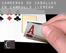 Carreras de caballos en  Campillo de Llerena