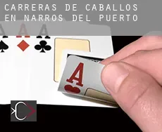 Carreras de caballos en  Narros del Puerto