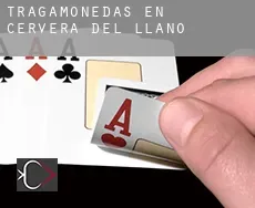 Tragamonedas en  Cervera del Llano