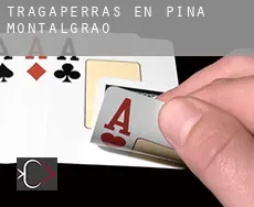 Tragaperras en  Pina de Montalgrao
