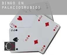 Bingo en Palaciosrubios