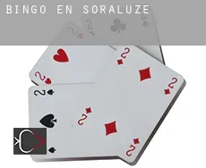 Bingo en  Soraluze / Placencia de las Armas