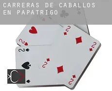 Carreras de caballos en  Papatrigo