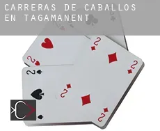 Carreras de caballos en Tagamanent