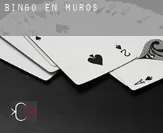 Bingo en Muros