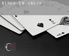 Bingo en Obejo