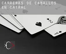 Carreras de caballos en  Catral