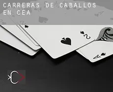 Carreras de caballos en Cea