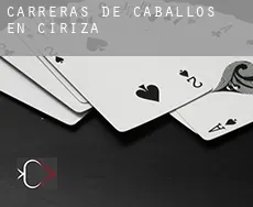 Carreras de caballos en  Ciriza
