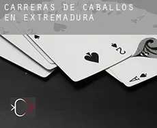Carreras de caballos en  Extremadura