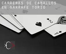 Carreras de caballos en Garrafe de Torío