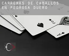 Carreras de caballos en  Pedrosa de Duero