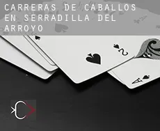 Carreras de caballos en Serradilla del Arroyo