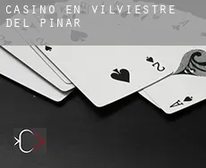 Casino en  Vilviestre del Pinar