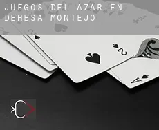 Juegos del azar en  Dehesa de Montejo
