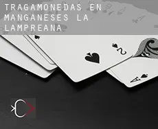 Tragamonedas en  Manganeses de la Lampreana