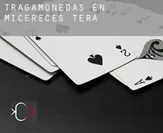 Tragamonedas en  Micereces de Tera
