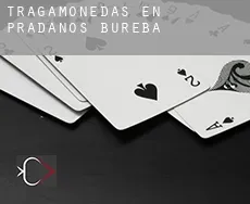 Tragamonedas en  Prádanos de Bureba