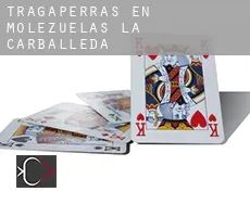 Tragaperras en  Molezuelas de la Carballeda