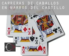 Carreras de caballos en  Narros del Castillo