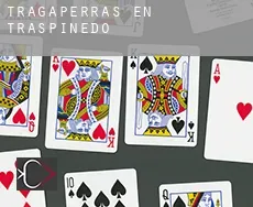 Tragaperras en Traspinedo