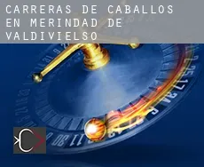Carreras de caballos en Merindad de Valdivielso