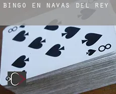 Bingo en Navas del Rey