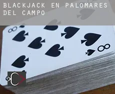 Blackjack en  Palomares del Campo