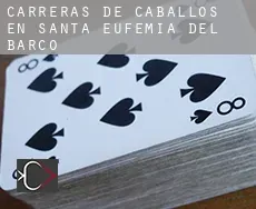 Carreras de caballos en  Santa Eufemia del Barco