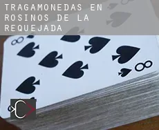Tragamonedas en Rosinos de la Requejada