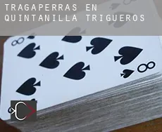 Tragaperras en Quintanilla de Trigueros