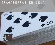 Tragaperras en Sena