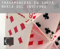Tragamonedas en  Santa María del Invierno