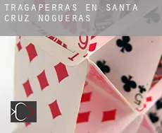 Tragaperras en  Santa Cruz de Nogueras