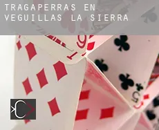 Tragaperras en  Veguillas de la Sierra