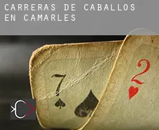 Carreras de caballos en  Camarles