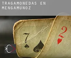 Tragamonedas en  Mengamuñoz