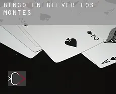 Bingo en  Belver de los Montes