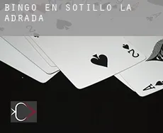 Bingo en  Sotillo de la Adrada