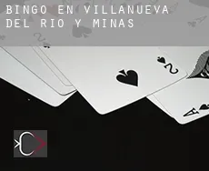 Bingo en  Villanueva del Río y Minas