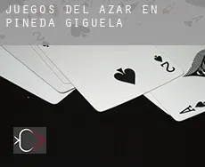 Juegos del azar en  Pineda de Gigüela
