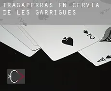 Tragaperras en  Cervià de les Garrigues