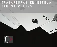 Tragaperras en  Espeja de San Marcelino