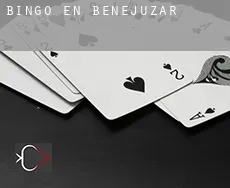 Bingo en  Benejúzar