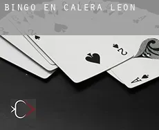 Bingo en  Calera de León